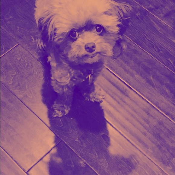 About me Photos🥳🥳❌❌ - Picture 10 of 14